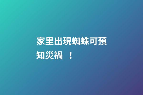 家里出現蜘蛛可預知災禍！